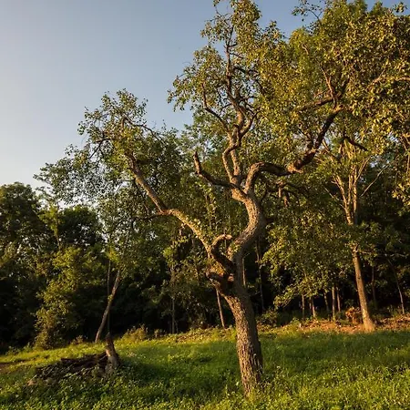 Casa de Férias Puckó
