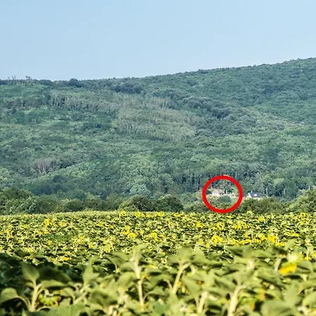 Casa de Férias Puckó *